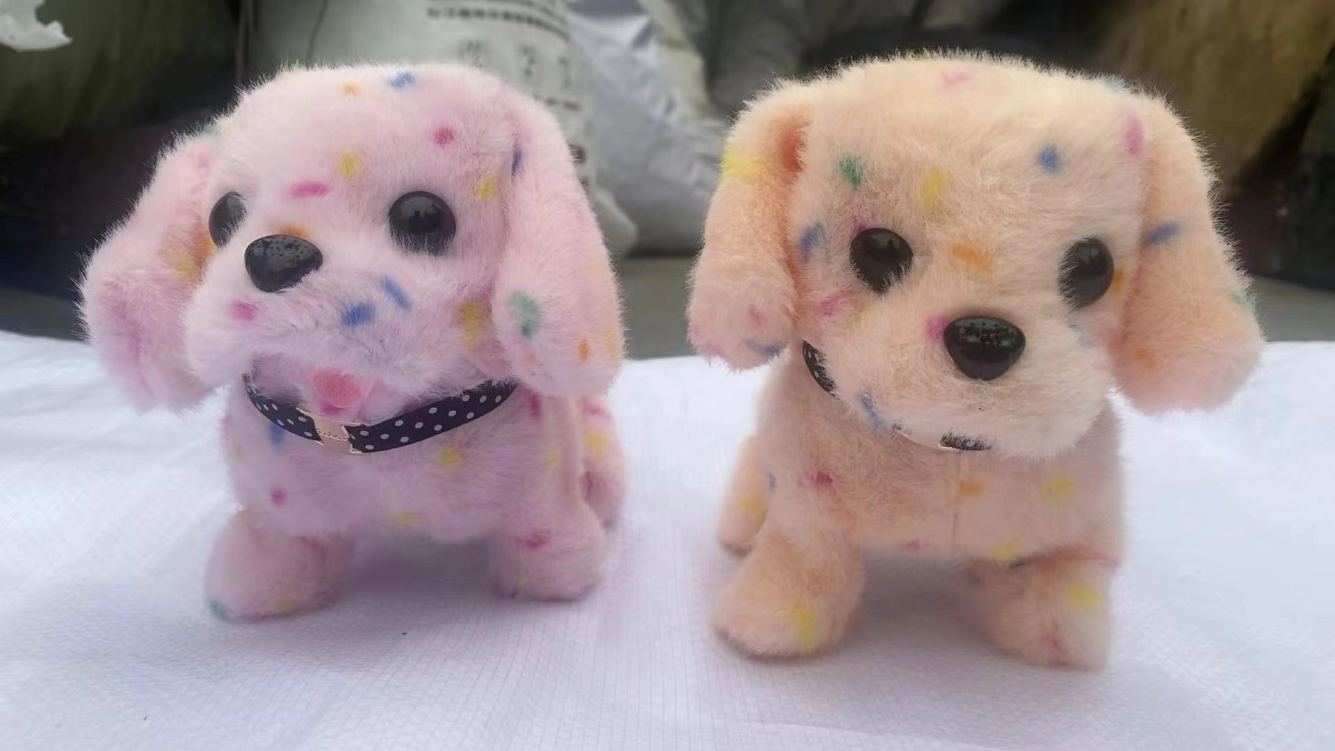 Long-haired and short-haired dogs