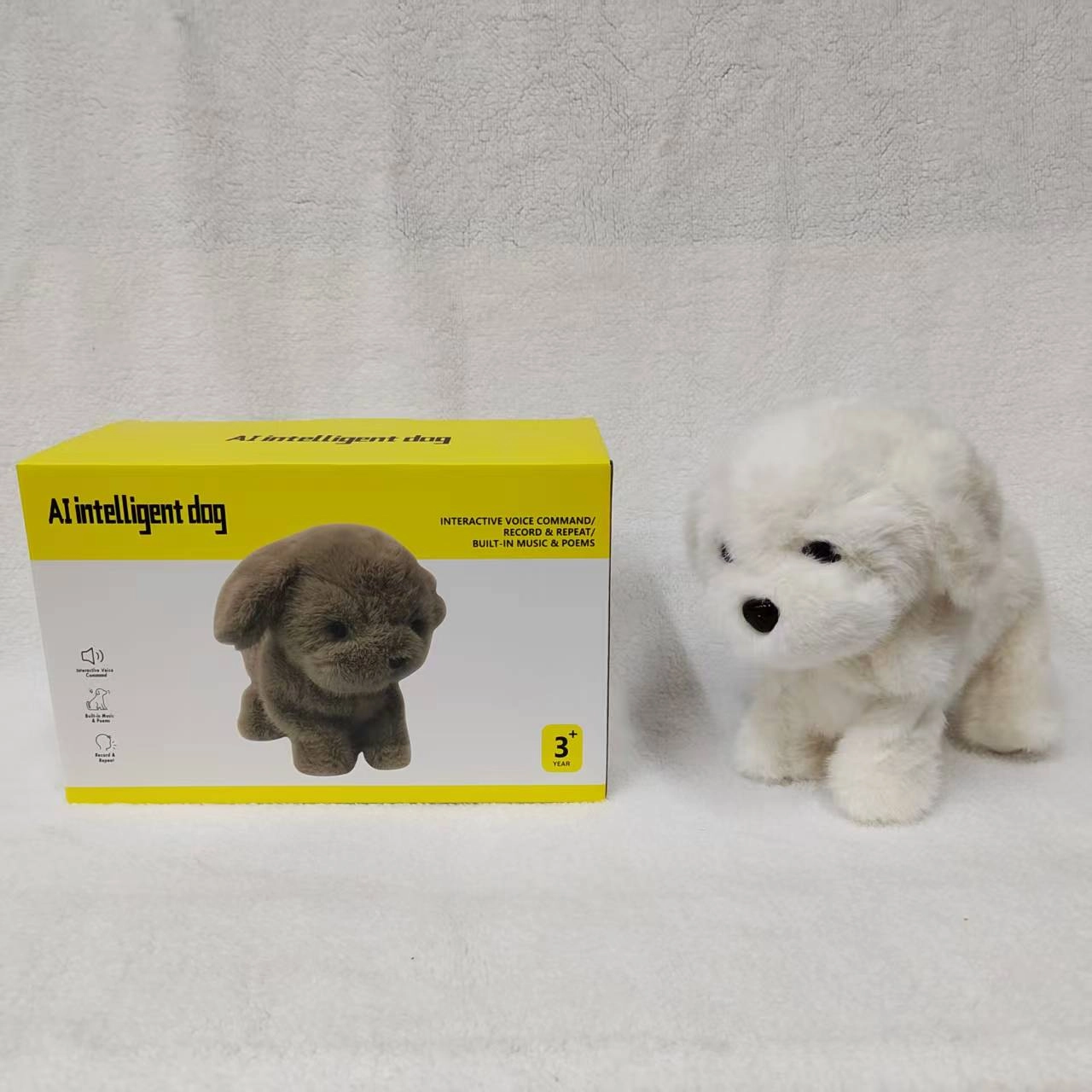 Password Dog-Teddy Bear Dog