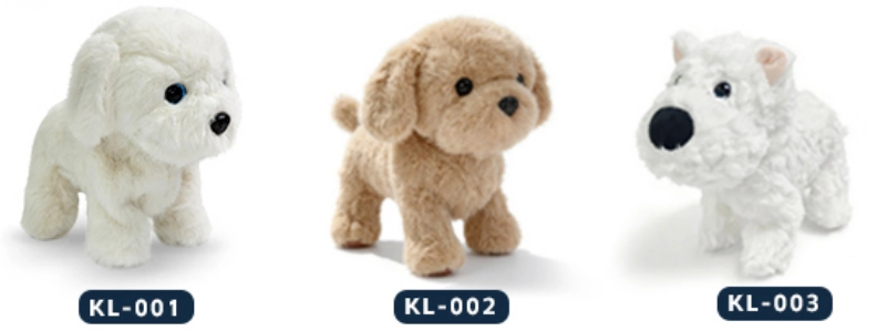 Password Dog Chinese-Teddy Bear Dog