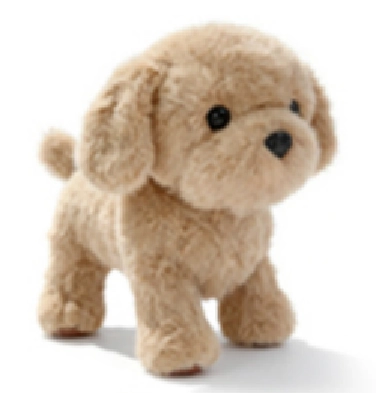Password Dog Chinese-Teddy Bear Dog