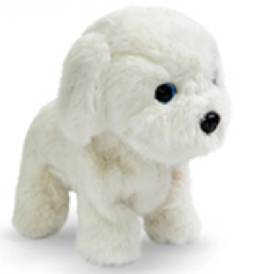 Password Dog-Bichon Frise