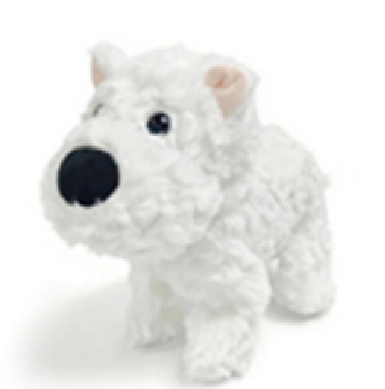 Password Dog-West Highlands