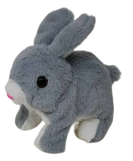 Gray Rabbit