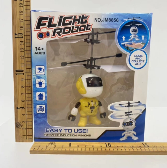 Induction Mini Robot