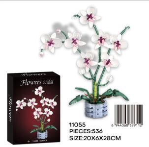 English version of potted orchid