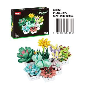 English version succulent arrangement