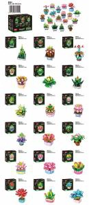 English version succulent arrangement