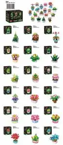 English version succulent arrangement