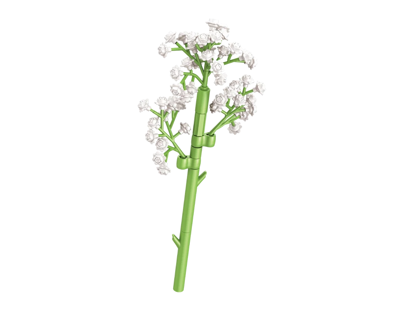 Baby\'s Breath