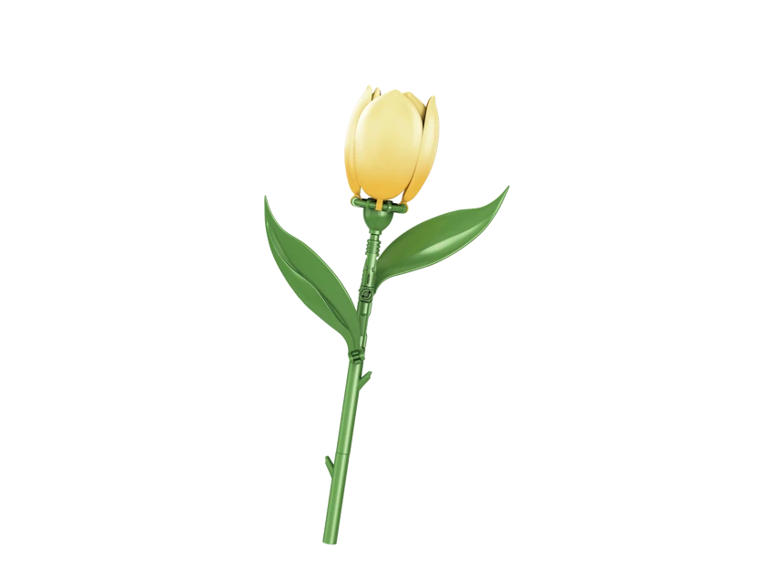 Tulip