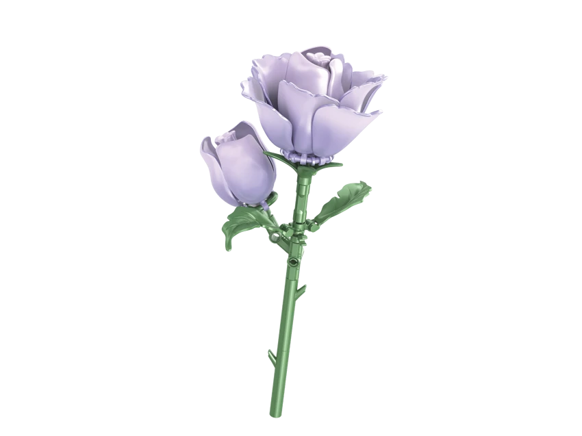 Eustoma