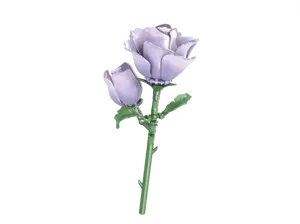 Eustoma