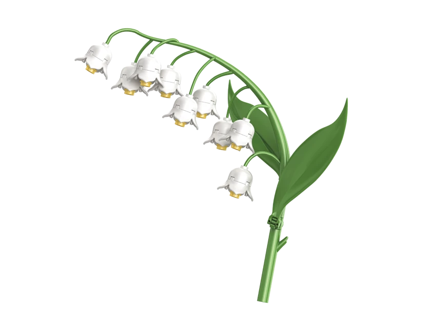 Lily of the valley