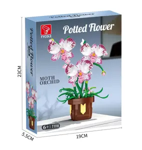 Phalaenopsis Orchid Potted Plant (Small)