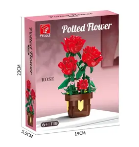 Potted Rose Plant (Small)