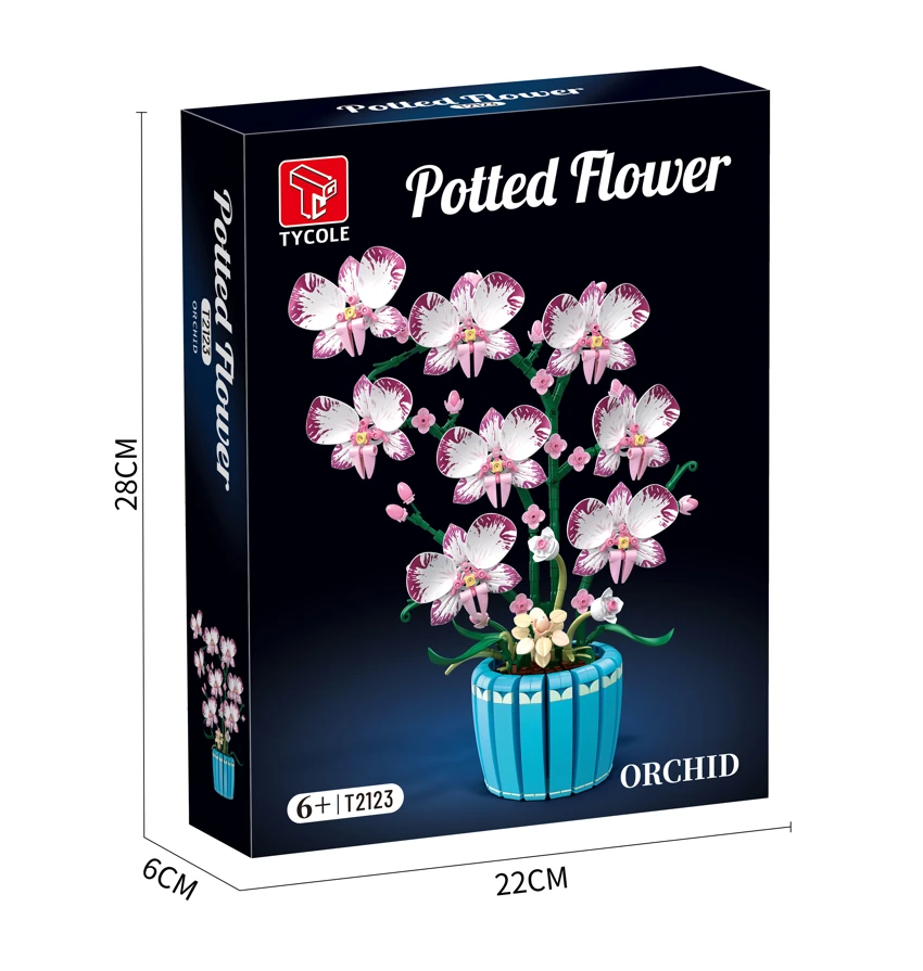 Orchid Plant (Large)