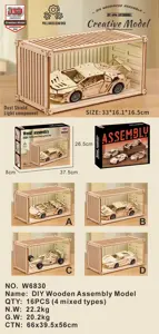 Wooden Assembled Pull-Back Car Model Container Display Set (With Lights)
