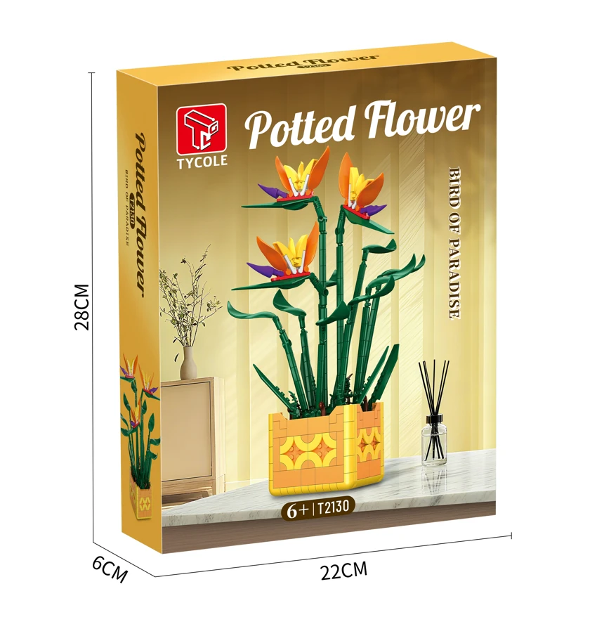 Bird of Paradise Potted Plant