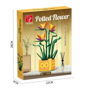 Bird of Paradise Potted Plant