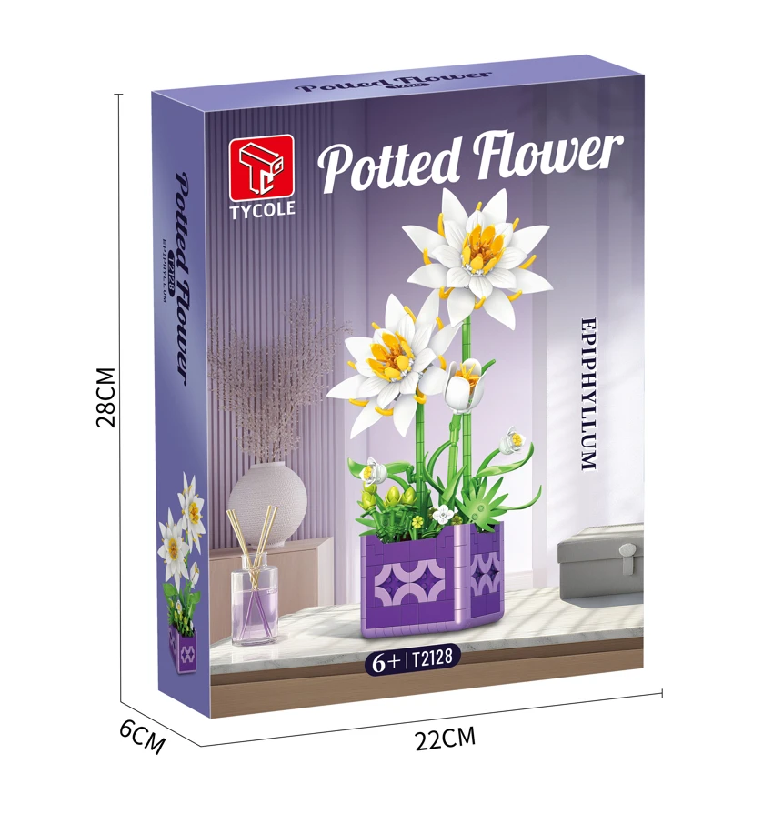 Epiphyllum Potted Plant