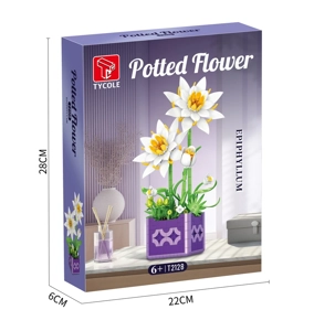 Epiphyllum Potted Plant