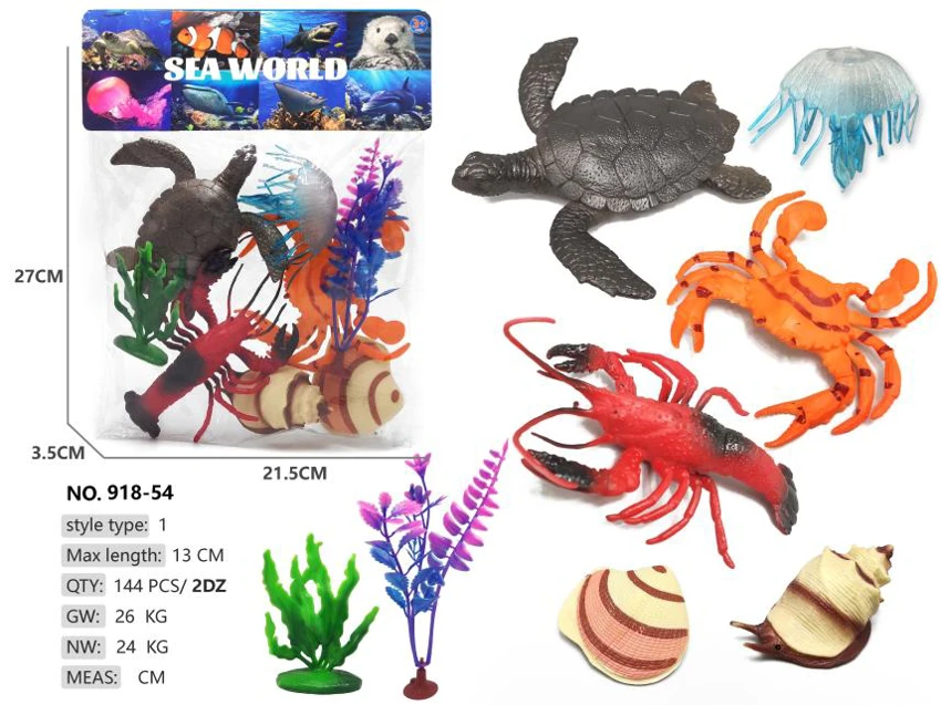 6 ocean animals: turtle shell