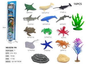 12 Ocean Animals A