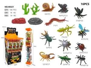 Medium 12 Insect Model Display Box