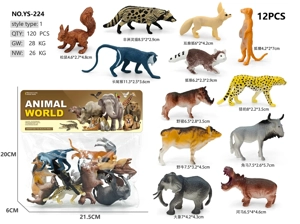 12 Wild Animal Models A