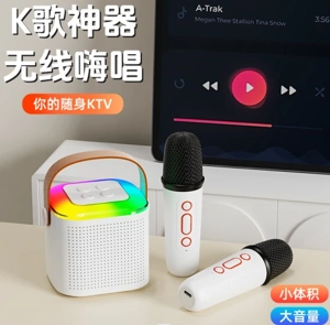 Wireless Bluetooth Speaker Low Configuration (Without Microphone)