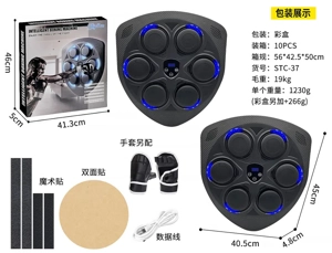 Triangle Shield Boxing