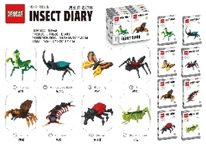 Insect Diary Building Blocks