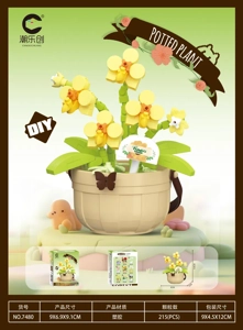 Flower Basket - Star River Dream Entry