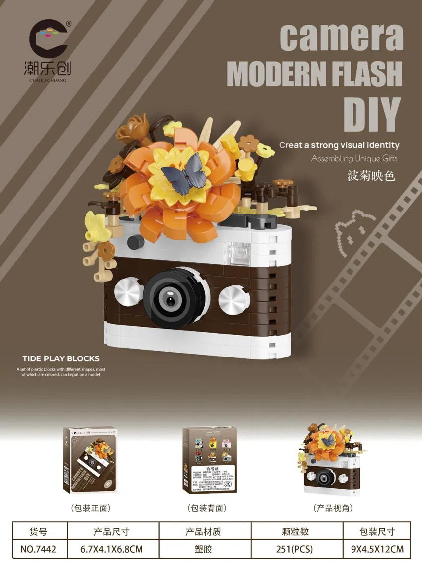 Chrysanthemum Color Reflection