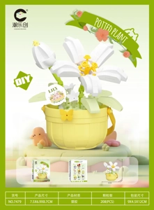 Flower Basket - Glazed Star Track