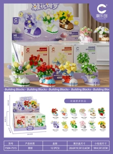 Shoe Flower Dream Gift Box Edition