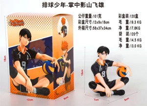 Volleyball boy: Tobio Kageyama in the palm of his hand