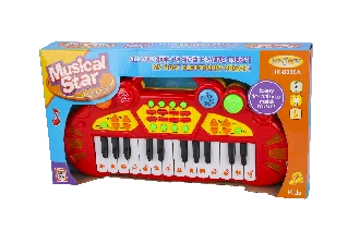 24 คีย์อิเล็กทรอนิกส์