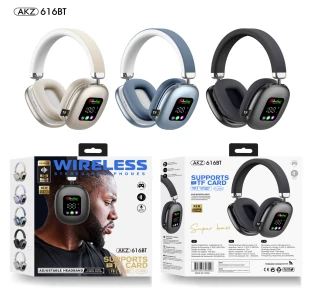 AKZ-616BT (Bluetooth + TF Card)