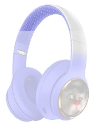 AKZ-1013 ANC Bluetooth Headset