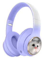 AKZ-1013 ANC Bluetooth Headset