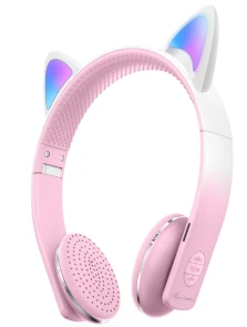 AKZ-609 (Bluetooth + TF Card + FM Radio)