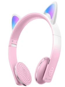 AKZ-609 (Bluetooth + TF Card + FM Radio)