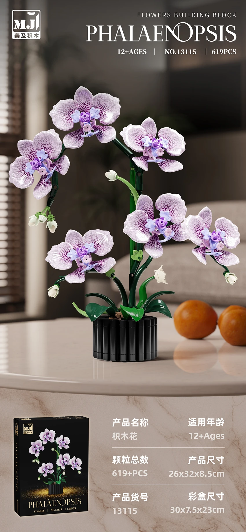 Phalaenopsis