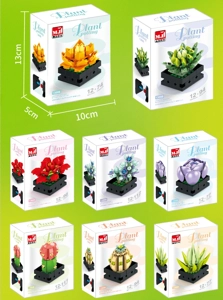 Succulent Plant