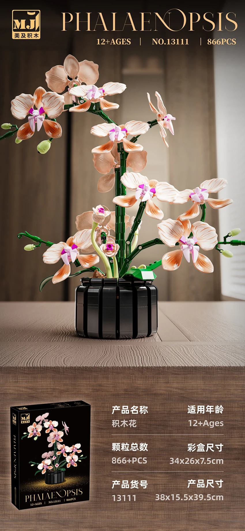 Champagne Orchid