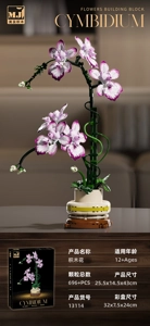 Oncidium