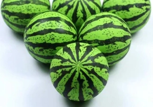 Watermelon Ball