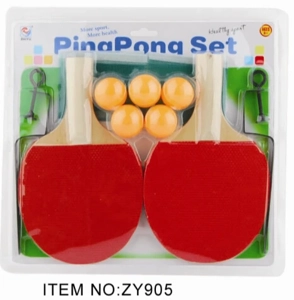 Setup Tenis Meja Besar