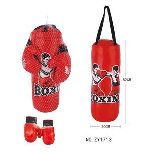 Large Boxing Bag Pack